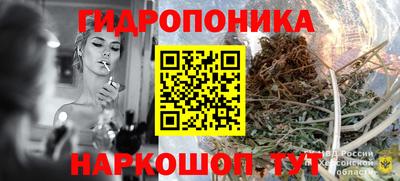 МДПВ Пушкино