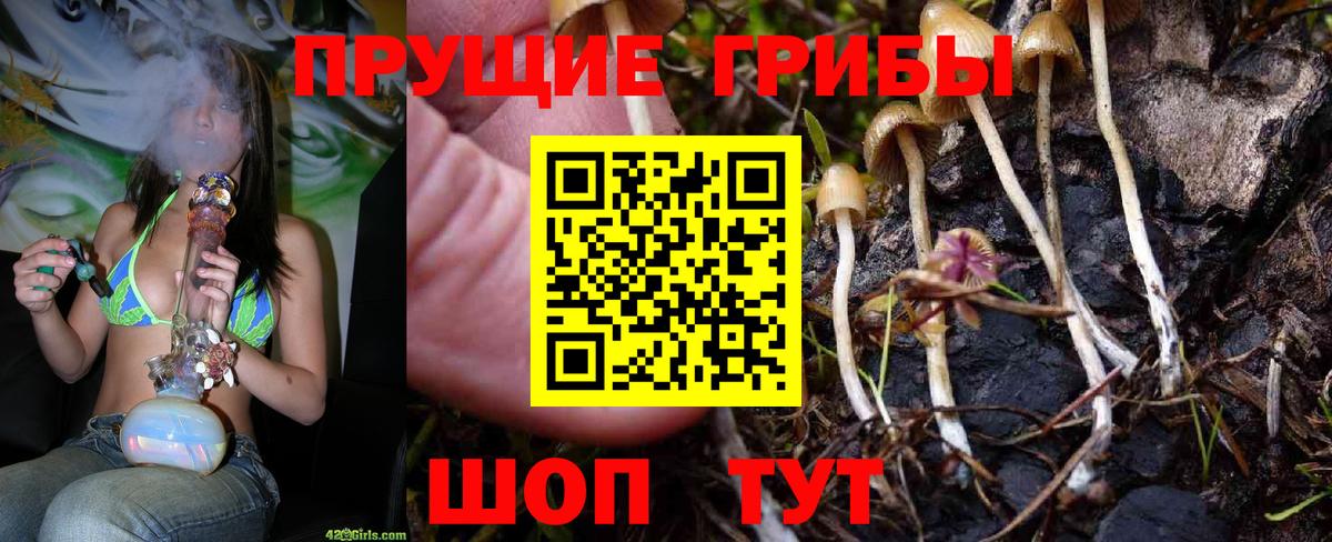 Галлюциногенные грибы прущие грибы Солнечногорск